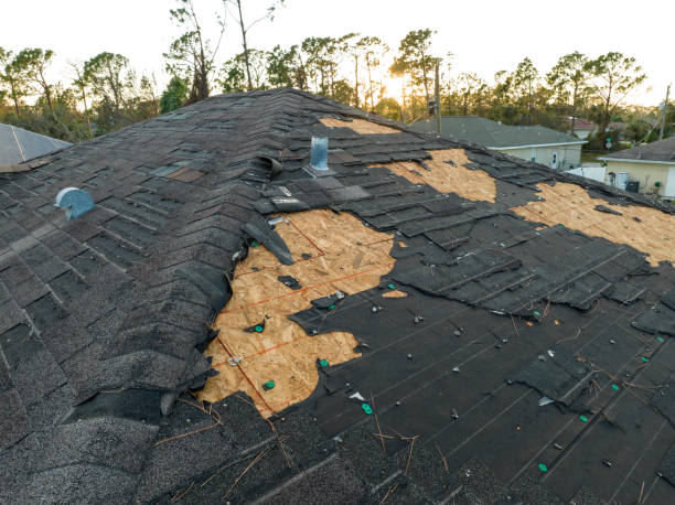 Best Roof Leak Repair  in Stone Ridge, VA